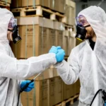 Consultant professionnel en lutte contre les nuisibles 🛡️