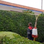 Dératisation à Casablanca : Protégez vos espaces avec YATRIS, société experte en lutte contre les nuisibles